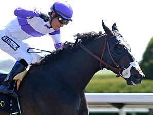 Handsome Mike wins the 2013 Commonwealth. 