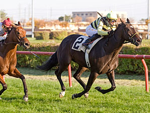 Happy Henrietta wins the 2011 Indian Maid.