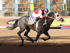 Happy Me wins the 2009 New Mexico State Racing Commission Handicap.