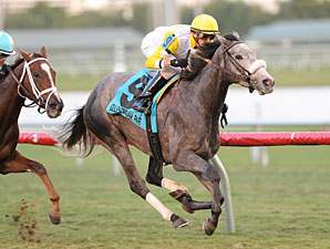 Hard Not to Like wins the 2013 Marshua's River.