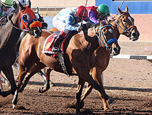 Hard to Resist wins the 2014 Czaria Stakes.