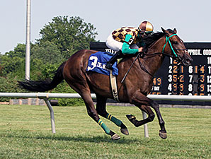 Hardest Core wins the 2014 Cape Henlopen Stakes.