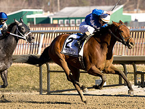 Harissa wins the 2011 Barbara Fritchie.