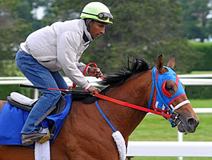 Harlan's Hello at Belmont.