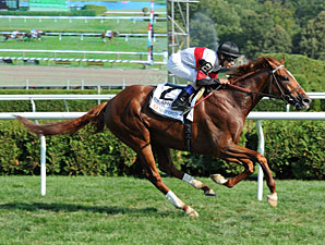 Harrods Creek wins the 2012 John's Call.