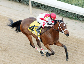 Havre de Grace wins the 2011 Azeri.