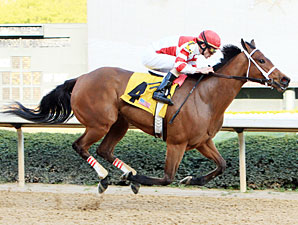 Havre de Grace wins the 2011 Azeri.