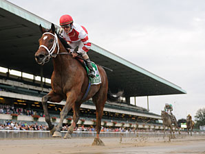  2011 Eclipse Awards Horse of the Year / Yılın Atı Havre de Grace