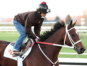 Havre de Grace works at Keeneland, October 24, 2011.