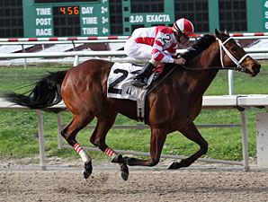 Havre de Grace wins the 2012 New Orleans Ladies.