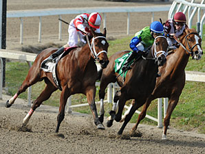 Havre de Grace wins the 2012 New Orleans Ladies.