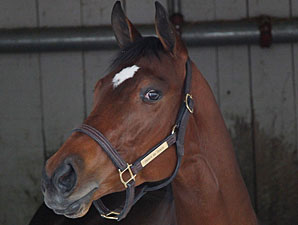 Havre de Grace - Churchill Downs, April 17, 2012.