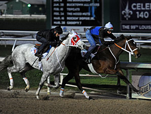 Havre de Grace and Joyful Victory work at the Fair Grounds 3/5/3012.
