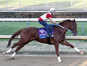 Haynesfield at Churchill Downs.