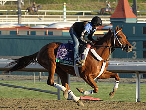 Hazardous - Breeders' Cup 2012