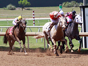 He Has Bling wins the 2013 Texas Stallion Stakes, Stymie Division.