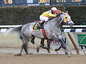 Head Heart Hoof wins the 2013 Toboggan Stakes.