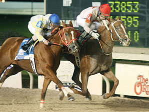 Hear No Angel wins the 2010 Cocodrie Stakes.