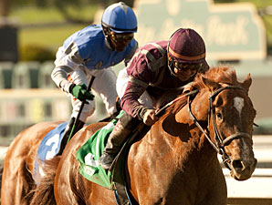Hear the Ghost wins the 2013 San Felipe.