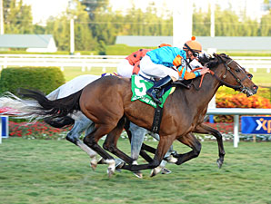 Heavenly Landing wins the 2012 Marshua's River.