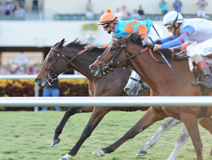 Heavenly Landing wins the 2012 Marshua's River.