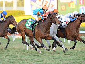 Heavenly Landing wins the 2012 Marshua's River.