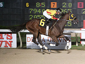 Heitai, New Track Record, Delta Downs, November 1, 2013.