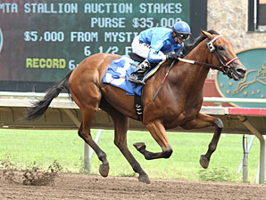 Heliskier in the MTA Stallion Auction Stakes.