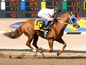 Hennessy Road wins the 2012 Copper Top Futurity Trial - Fillies.