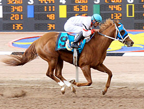 Hennessy Road wins the 2012 Copper Top Futurity - Fillies.