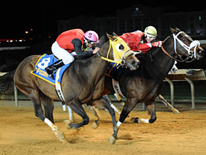 Henry the Lover wins the 2012 West Virginia Dash for Cash Breeders' Classic.