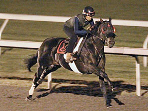 Here Comes Ben works at Keeneland, 10/21/10