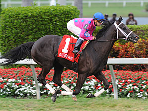 Here to Win wins the 2012 Very One.