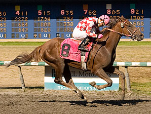 Herescomelucky in the CTHS Sales Stakes.