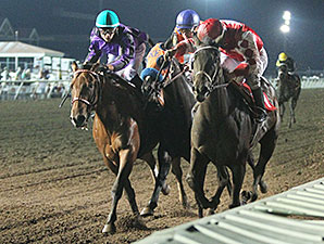 Hero On Saturday wins the 2014 Careless Navigator Overnight Stakes.