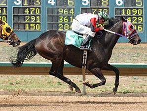 Hezamazing wins the Front Range.