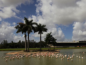 Horses Arrive For Reopening of Hialeah