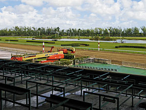 Hialeah Readies to Break from Gate Nov. 28 Hialeah Readies to Break from Gate Nov. 28