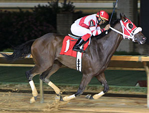 Hidden Canyon wins the 2013 Robert G. Leavitt Memorial Stakes.