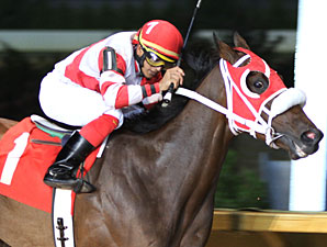 Hidden Canyon wins the 2013 Robert G. Leavitt Memorial Stakes.