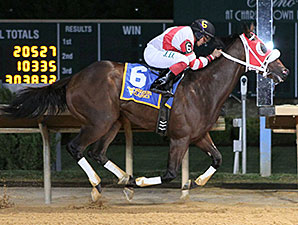 Hidden Canyon wins the 2013 West Virginia Lottery Breeders' Classic Stakes.