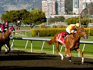 Hidinginplainsight wins the 2013 Camilla Urso Stakes.
