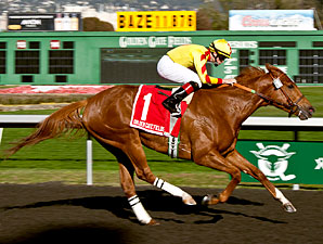 Hidinginplainsight wins the 2013 Camilla Urso Stakes.
