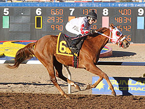 High Test Gal wins the 2014 LaSenora Stakes.