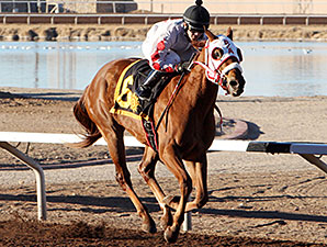 High Test Gal wins the 2014 La Senora Stakes.