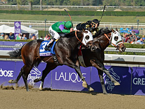 Hightail wins the 2012 Breeders' Cup Juvenile Sprint.