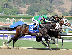 Hightail wins the 2012 Breeders' Cup Juvenile Sprint.