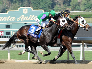 Hightail wins the 2012 Breeders' Cup Juvenile Sprint.
