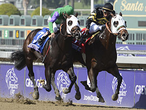 Hightail wins the 2012 Breeders' Cup Juvenile Sprint.