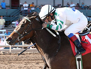 Hindu Kush wins the Ann Owens Distaff Handicap.